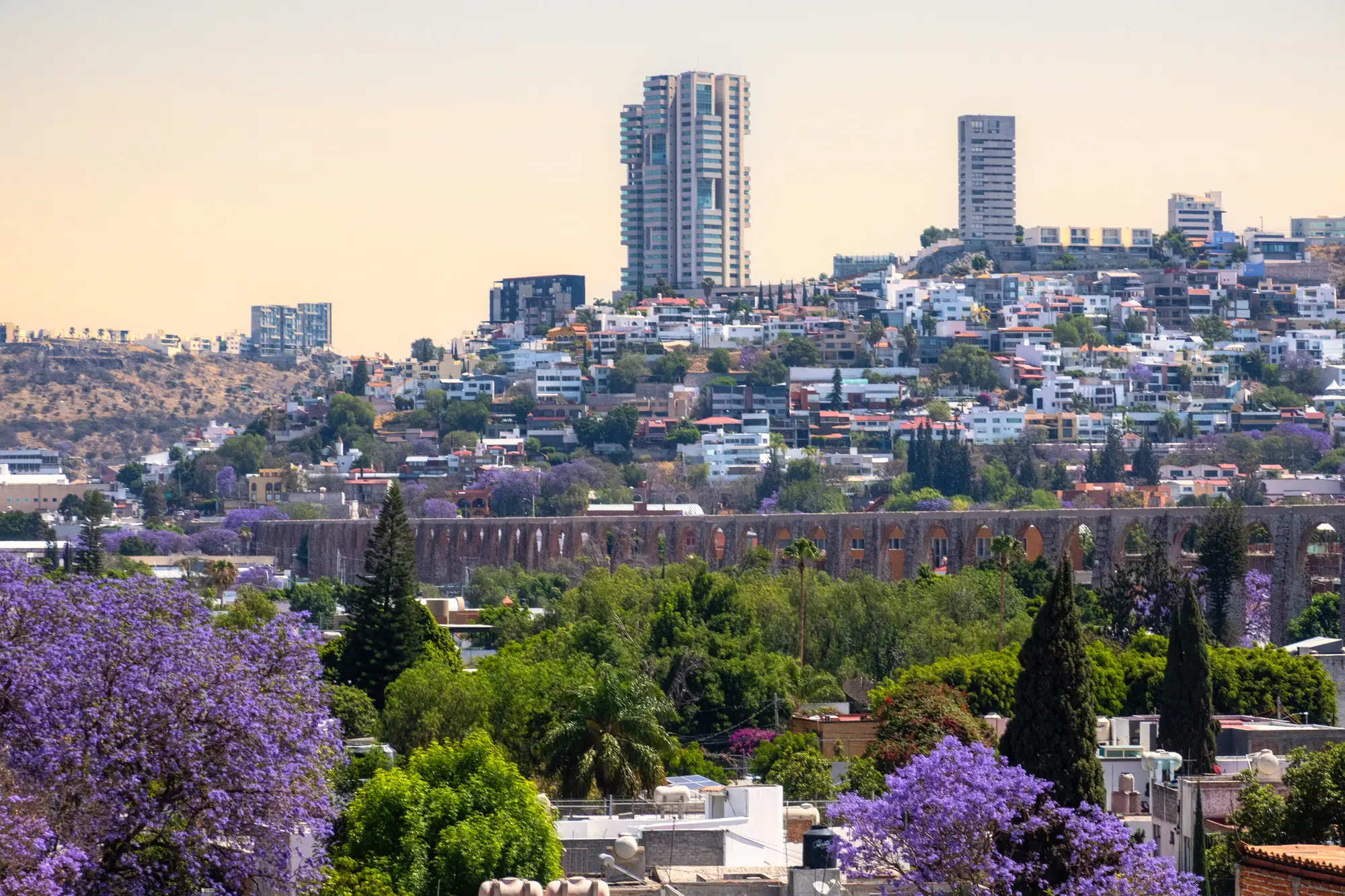 Acueducto de Querétaro con torres de departamentos al fondo